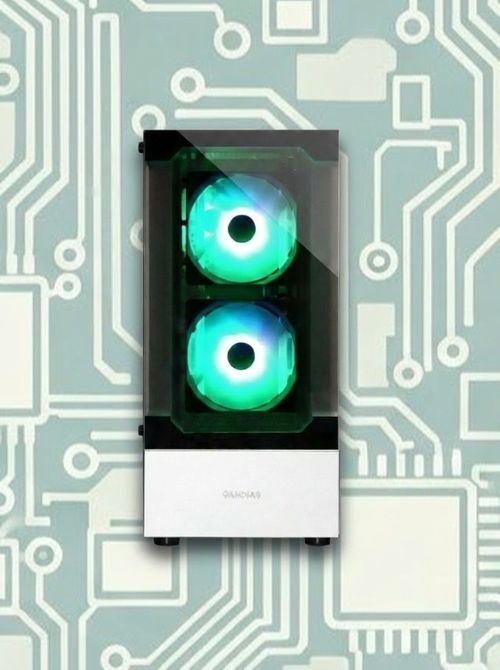 Canebrake Elite | RX 9060 XT 8 GB