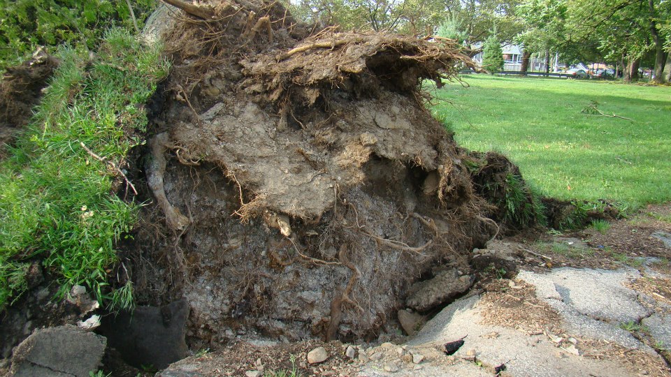 New York, tornado damage