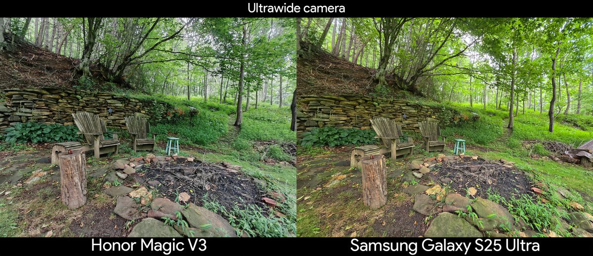 Comparing the ultrawide camera between the Honor Magic V3 and Samsung Galaxy S25 Ultra under a dark tree canopy