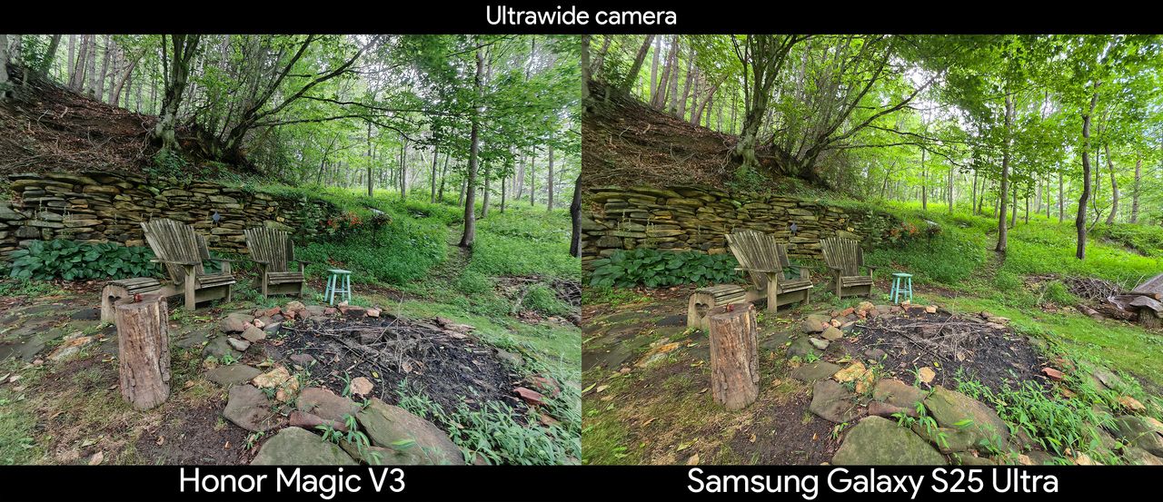 Comparing the ultrawide camera between the Honor Magic V3 and Samsung Galaxy S25 Ultra under a dark tree canopy