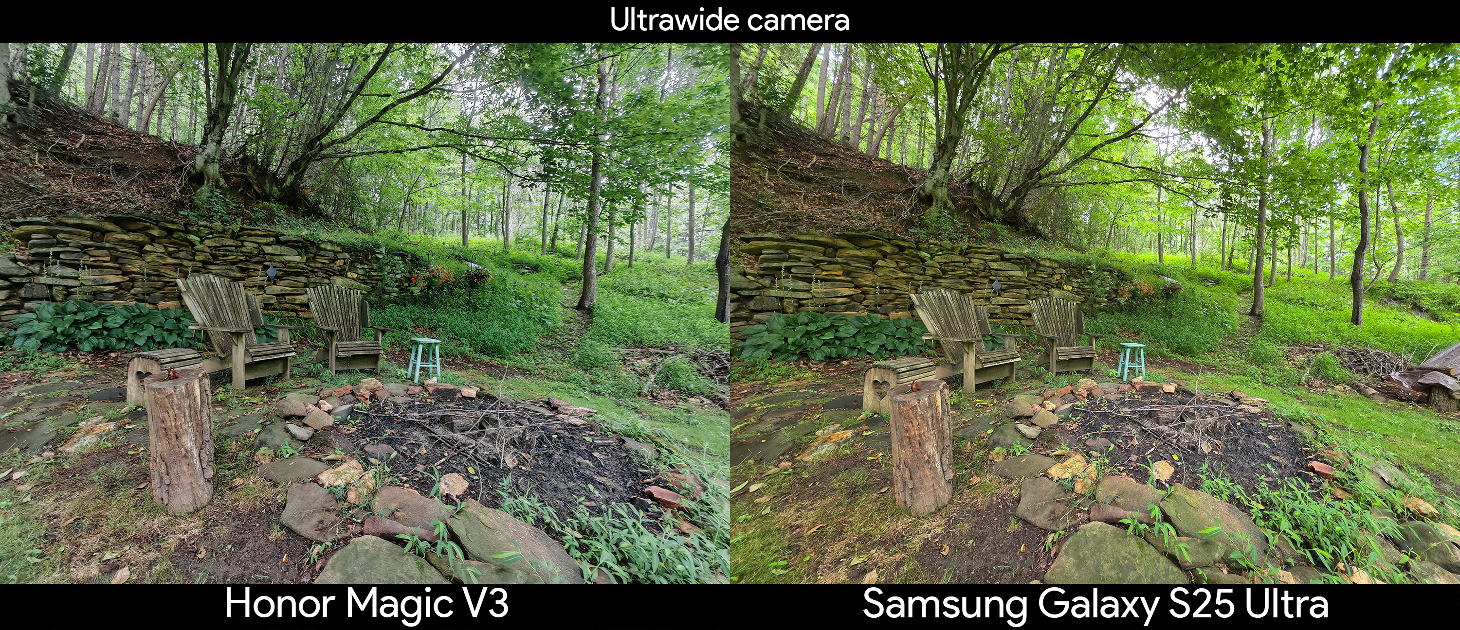 Comparing the ultrawide camera between the Honor Magic V3 and Samsung Galaxy S25 Ultra under a dark tree canopy