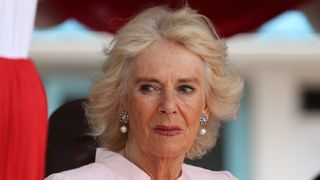 Queen Camilla watches a military exercise at the Mtongwe Naval Base