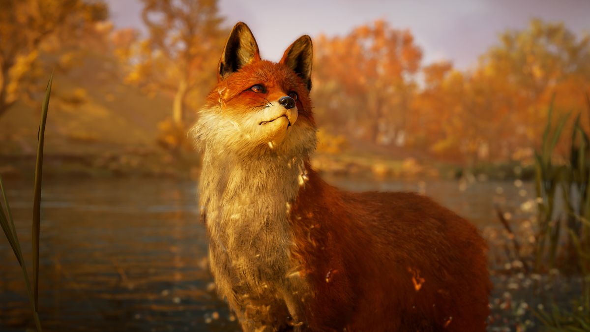 Every animal I've seen in Assassin's Creed Valhalla, rated | PC Gamer