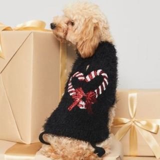 A light brown dog sitting on gold wrapped gifts looking back wearing a black shaggy sweater with a red candy cane heat design, for Christmas sweaters for dogs.