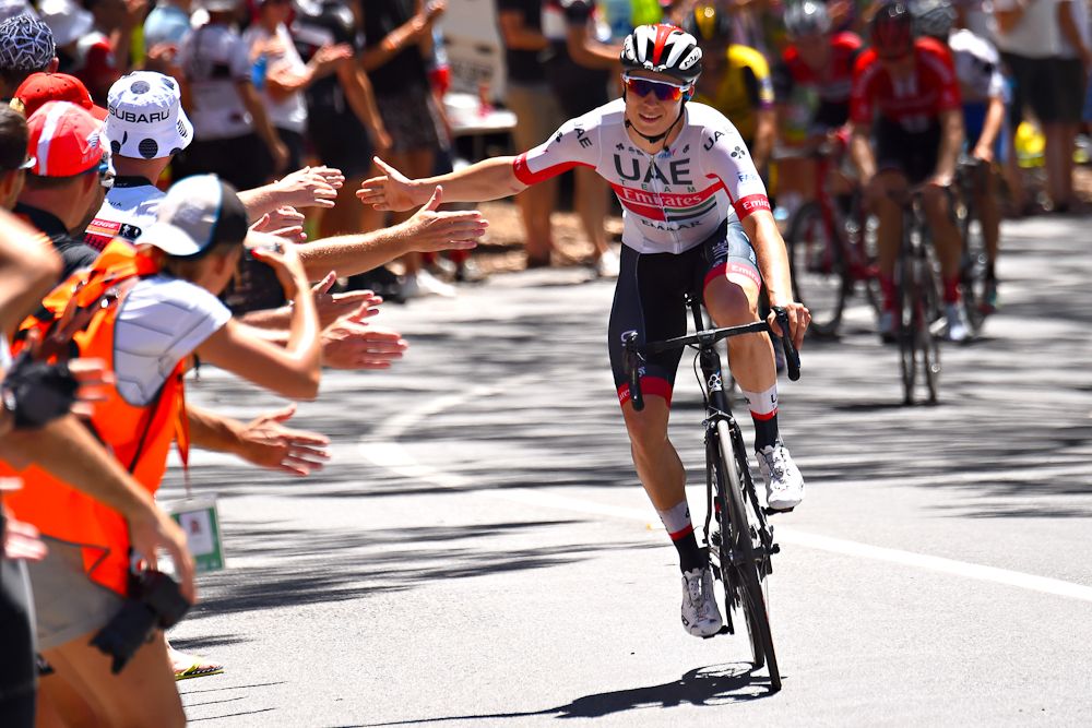 Stage 5 winner Jasper Philipsen slaps hands with fans on the way to the finish on Willunga Hill