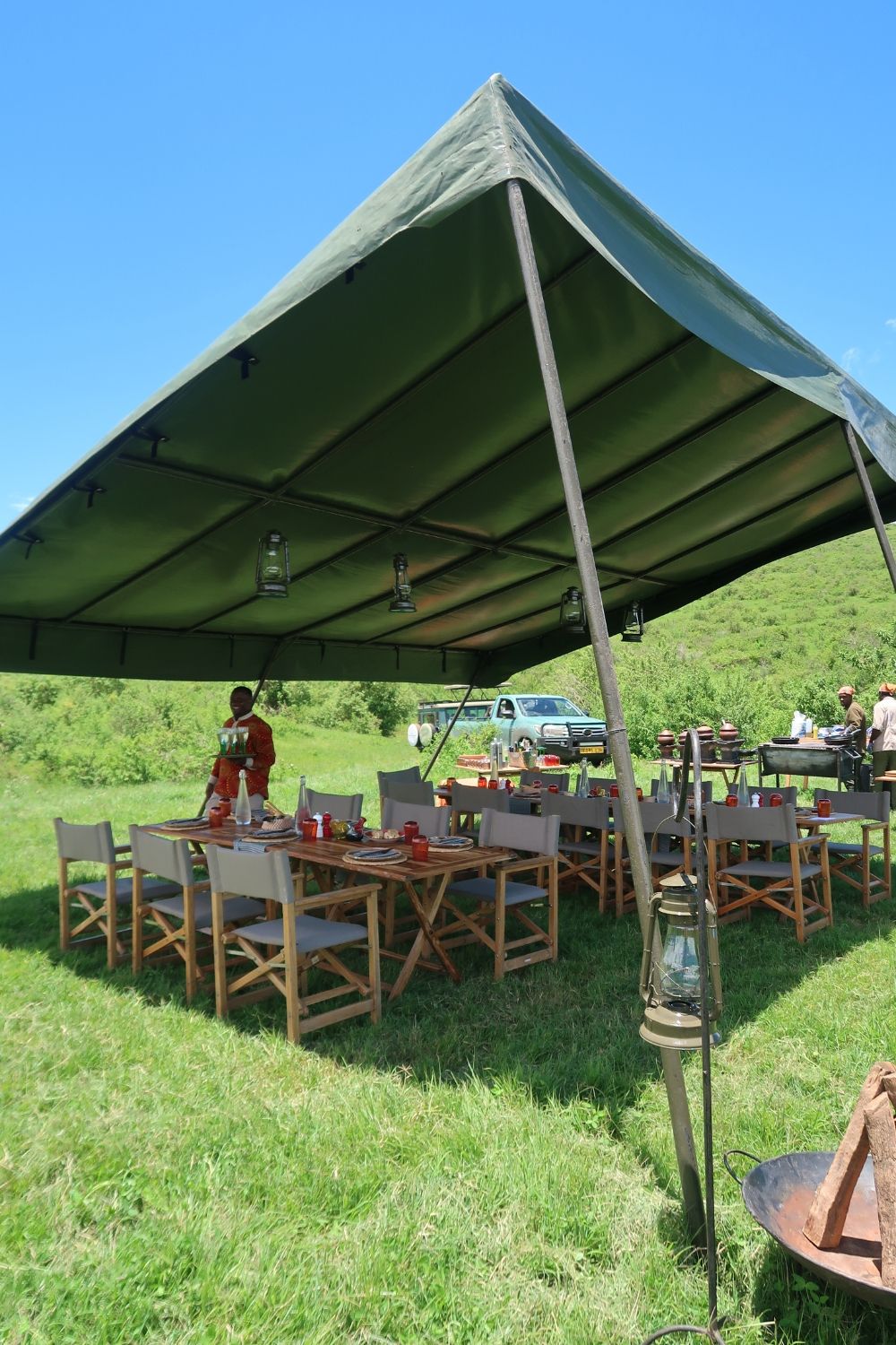 Lunch in the savannah