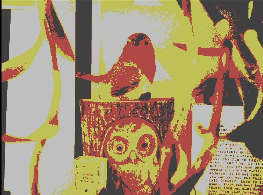 A photo of robin trinket sitting atop a wooden owl, taken on a myFirst Camera 50 smartphone camera for 5-12-year-olds