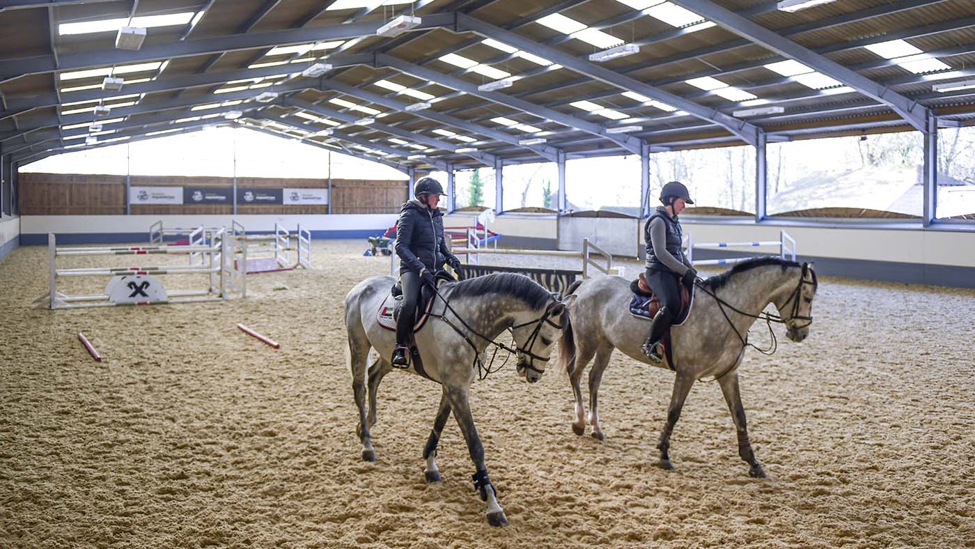 Breen Stud visit at Hickstead December 2018