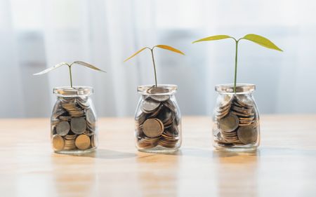 Three plants growing in three jars of coins. 