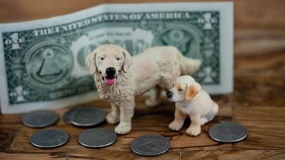 Two small dog figurines standing alongside a dollar bill and coins