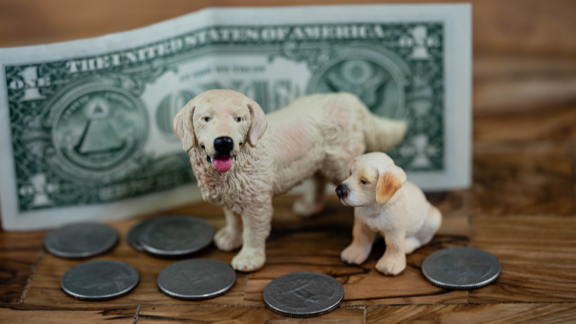 Two small dog figurines standing alongside a dollar bill and coins
