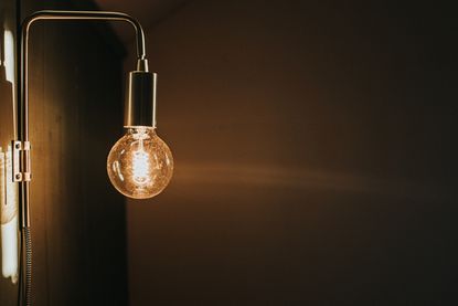 Large exposed wall mounted lightbulb