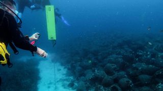 Scuba divers visit the underwater wreck of the Peristera ship