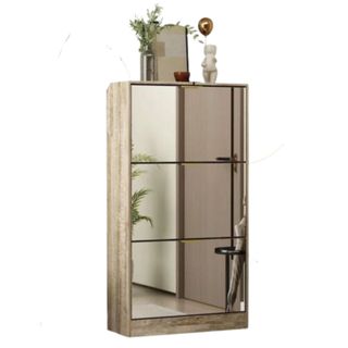 Mirrored cabinet with plants on top