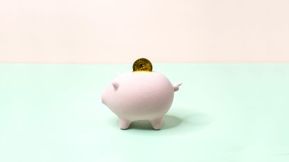 Minimalist one pastel colour piggy bank