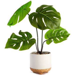 faux plant