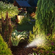 4lite Marinus Spike Light surrounded by plants in garden