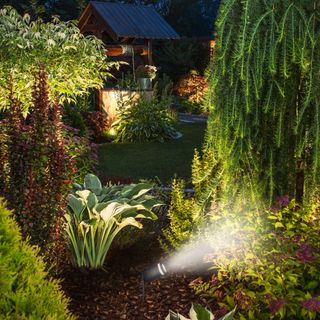 4lite Marinus Spike Light surrounded by plants in garden