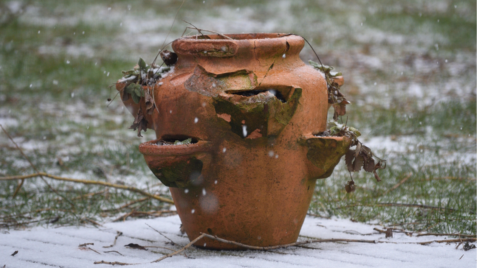 Terracotta pot in frost