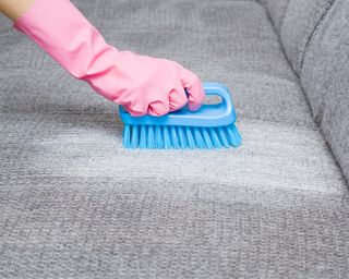 a hand in rubber glove cleaning a couch with a blue scrubbing brush - GettyImages-1082082206