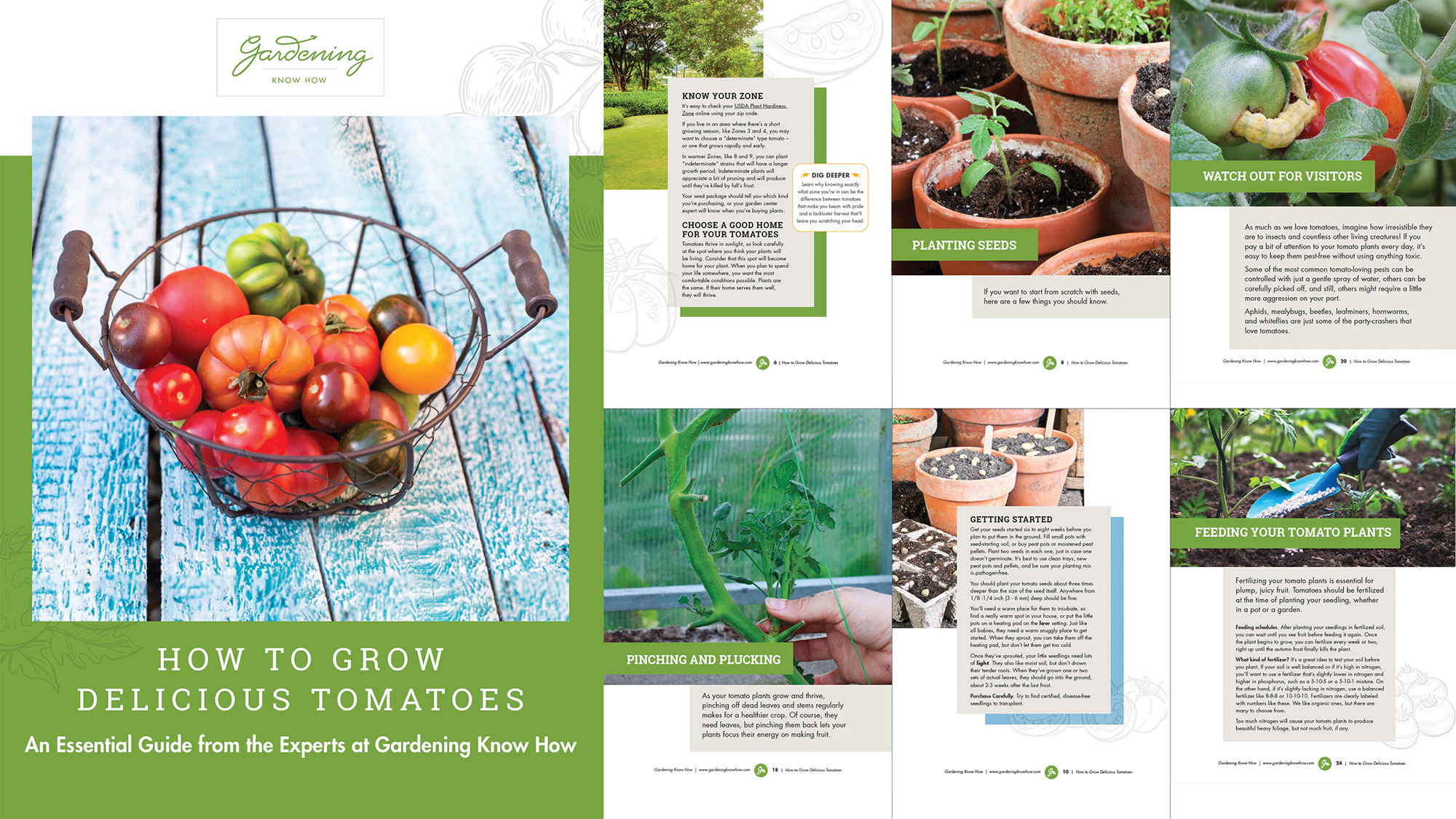 Cover and selected pages from How to Grow Delicious Tomatoes ebook