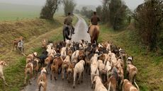 Avon-Vale-and-Berks-and-Bucks_420910451_766157892.jpg