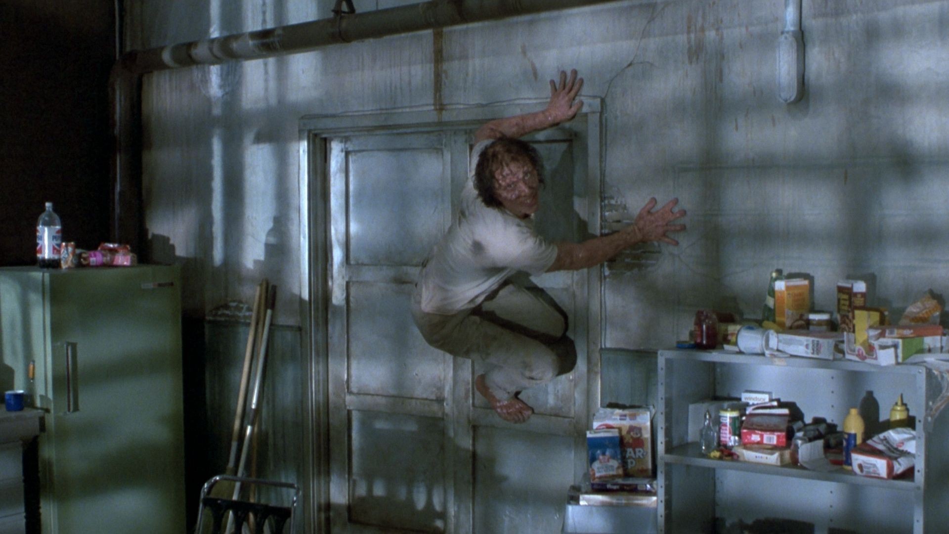 The Fly At 30 Revisiting Cronenberg s Body Horror Masterpiece And Its The Fly At 30 Revisiting Cronenberg s Body Horror Masterpiece And Its