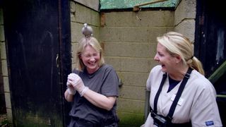 Joanna Page giggles as a pigeon lands on her head.