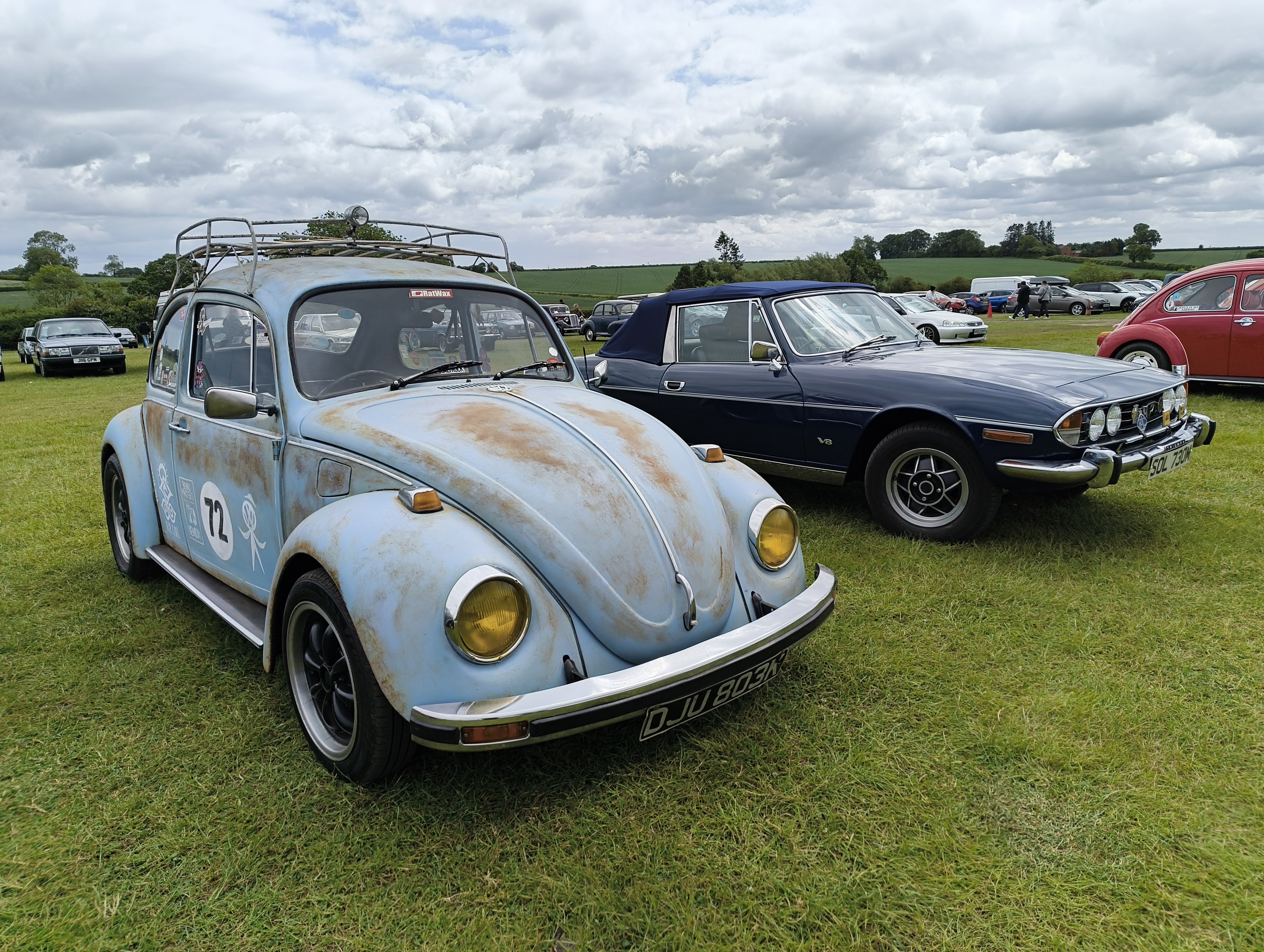 Classic vintage cars lined up in a field
