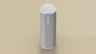 Sonos Roam review: full product shot