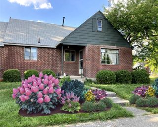 Front yard with Plant By Number pastel kit