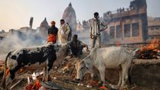 Relatives gather for a funeral ceremony at the Manikarnika Ghat cremation grounds in Varanasi, India