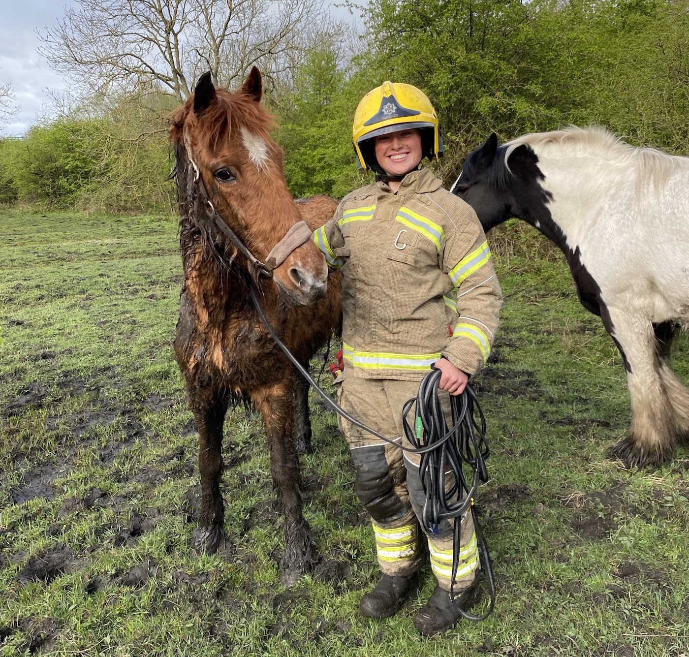 Horse rescue 4