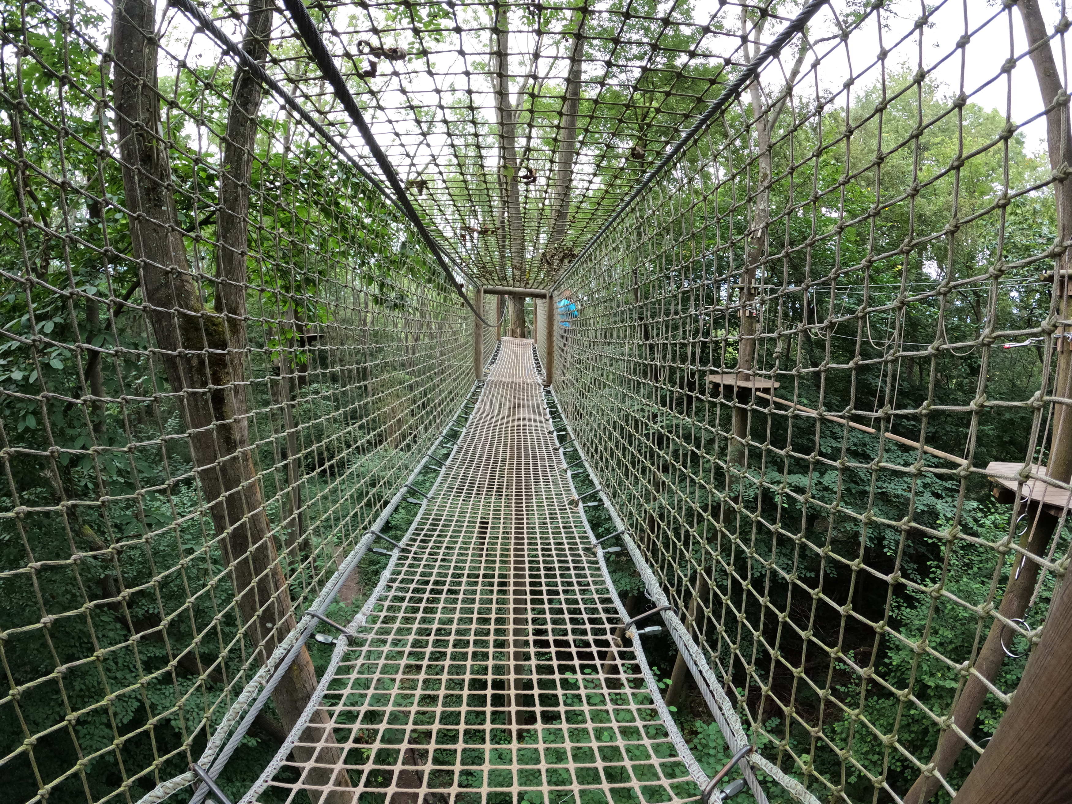 The inside of a netting tunnel at a GoApe adventure park