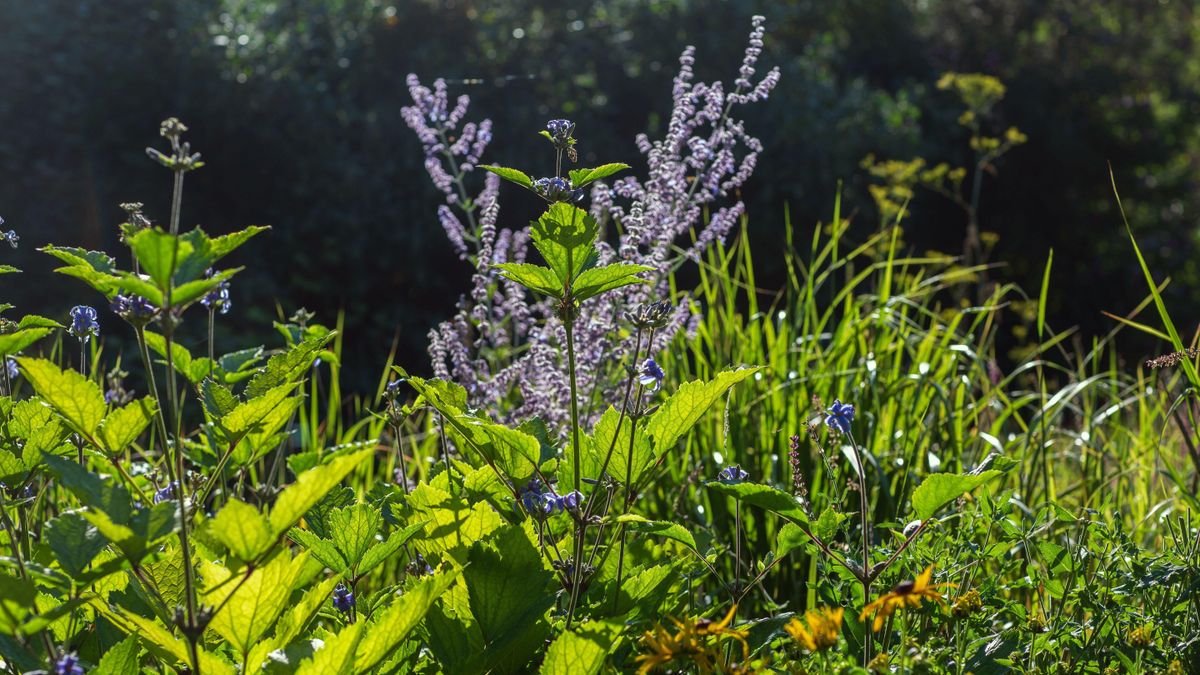 Sustainable gardening includes promoting biodiversity