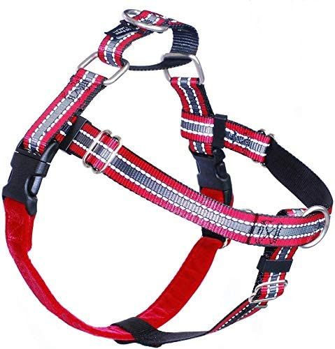 2 hounds harness