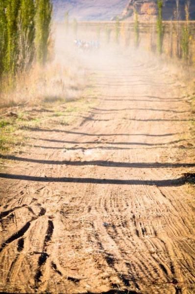 Tire tracks