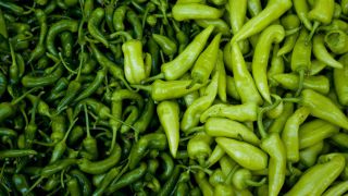 Foods to cook in a pizza oven: Padron peppers