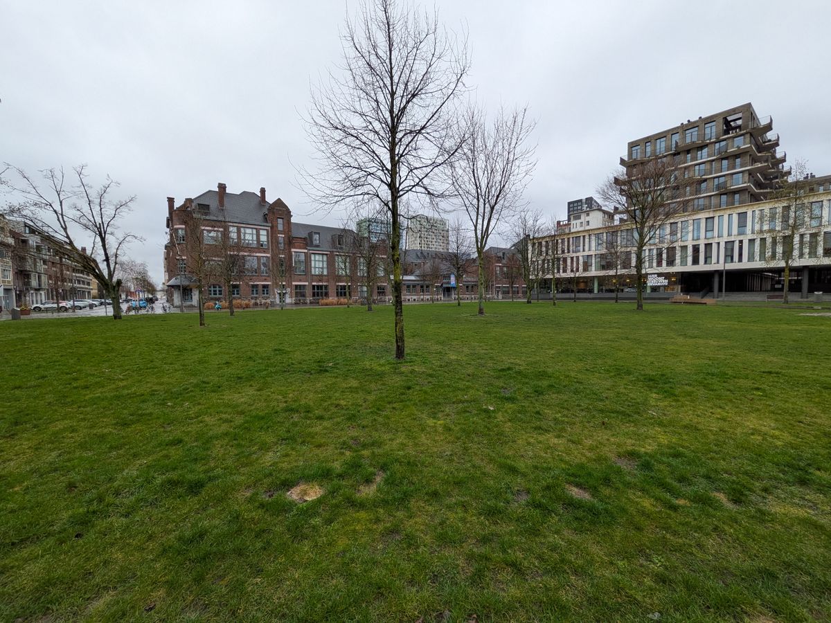 Google Pixel 10a fotoeksempel