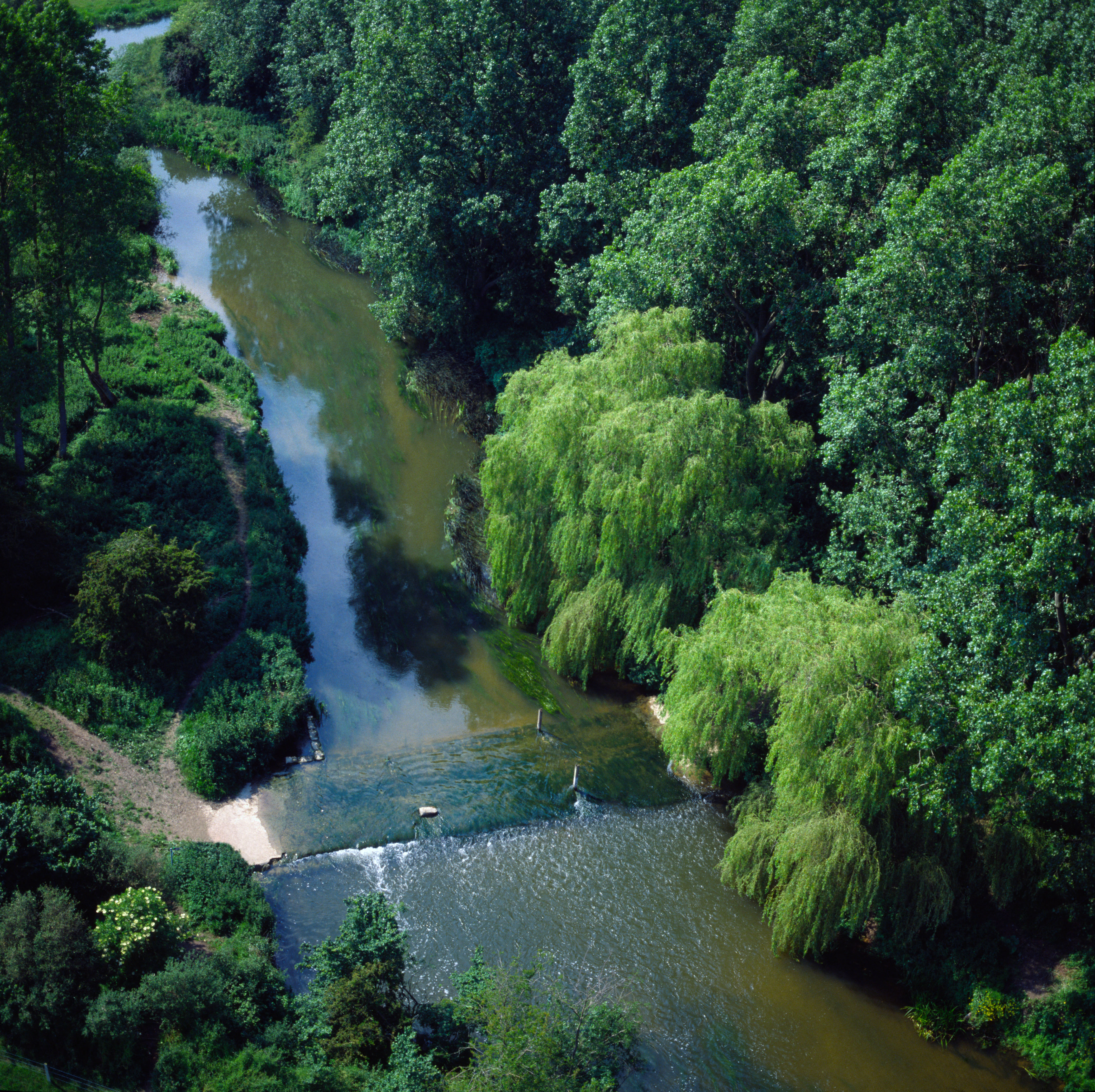 Aerial view of a ford surrounded by trees