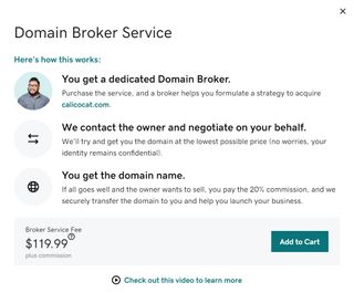 Domain Broker Service Detailed