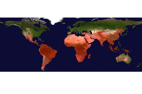 satellites, health outbreaks