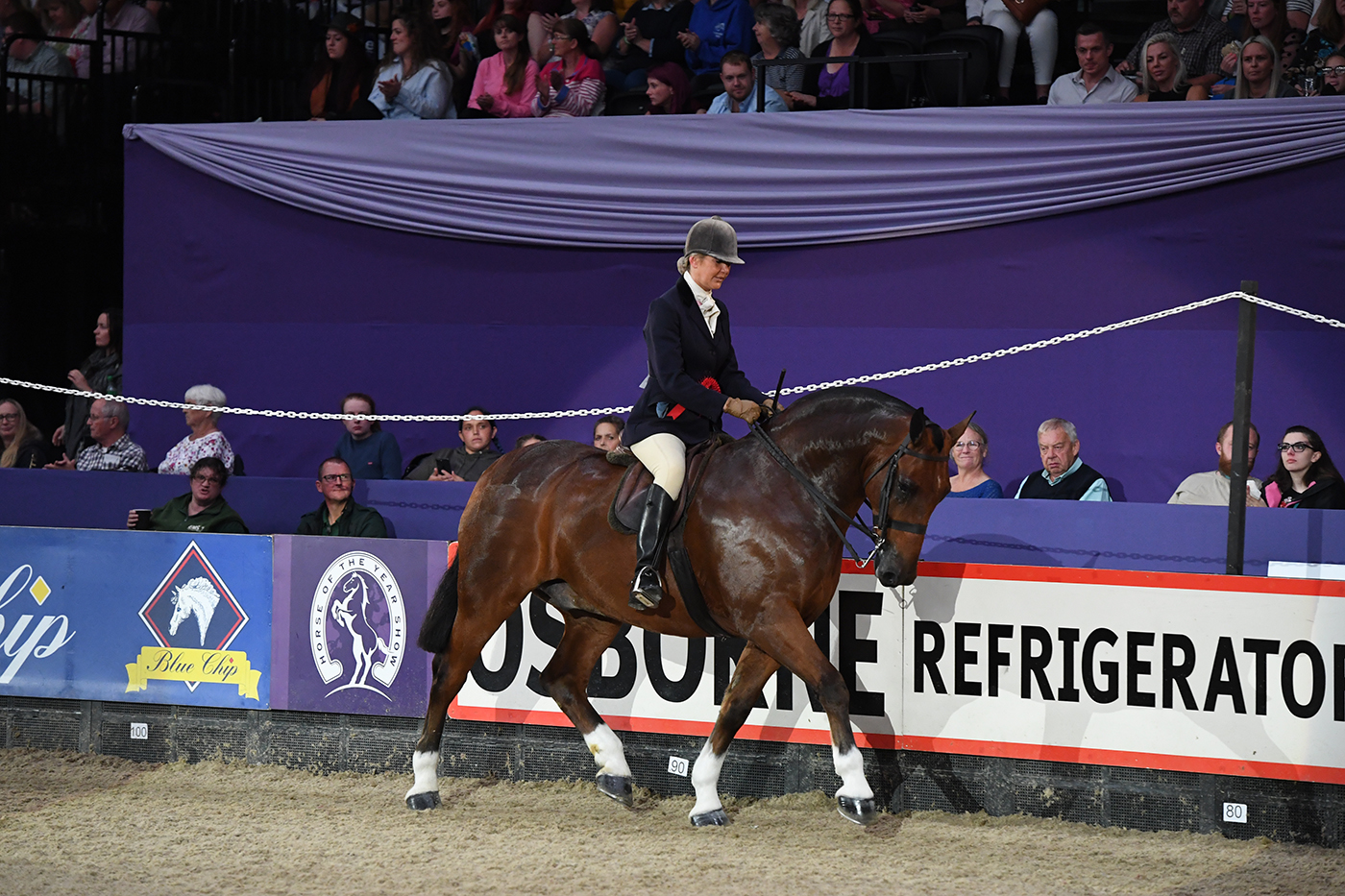 HOYS 09 10 21