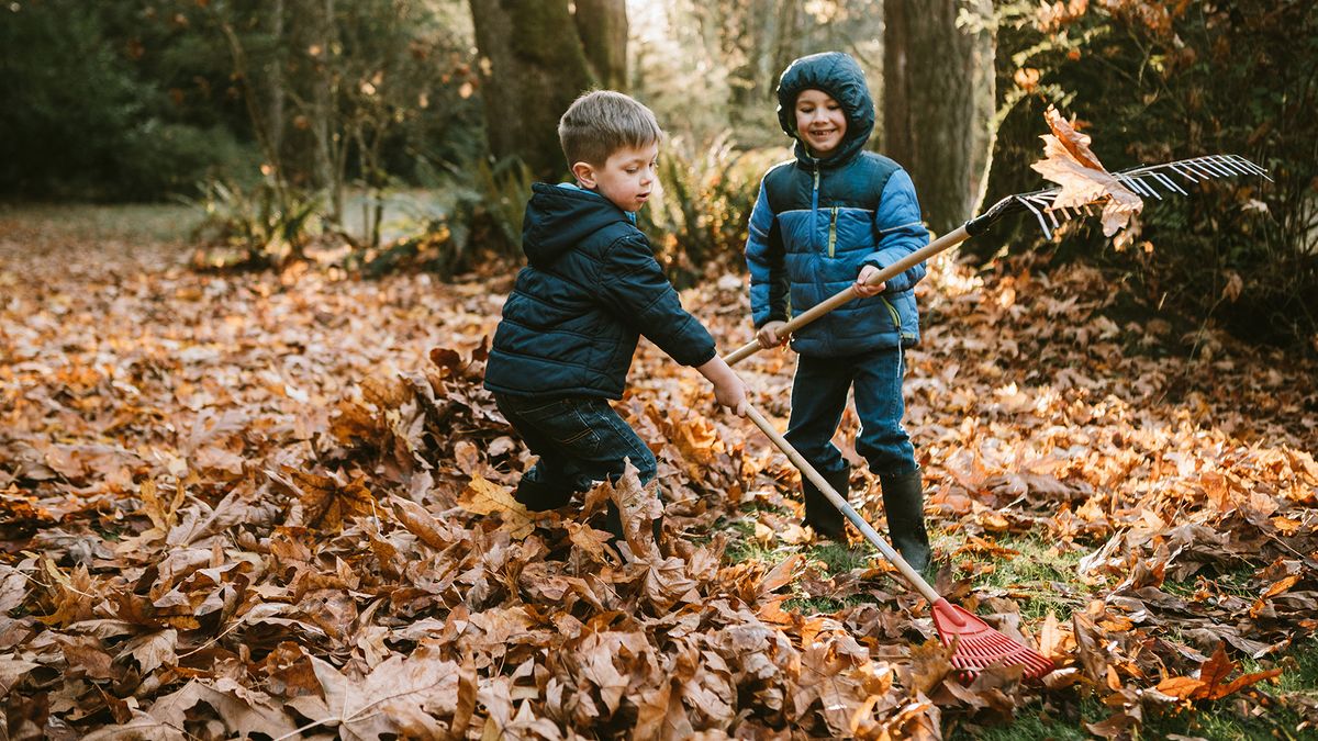 Gardening in the fall ideas