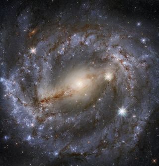 The spiral galaxy NGC 5643, which rests in the constellation of Lupus (the Wolf) stands out in this image by the Hubble Space Telescope. This galaxy lies about 60 million light-years from Earth and recently was home to the supernova 2017cbv.