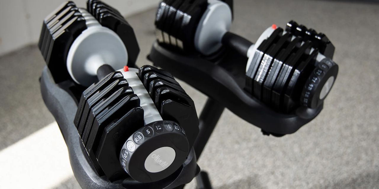 Image of Ativafit 55lb adjustable dumbbell