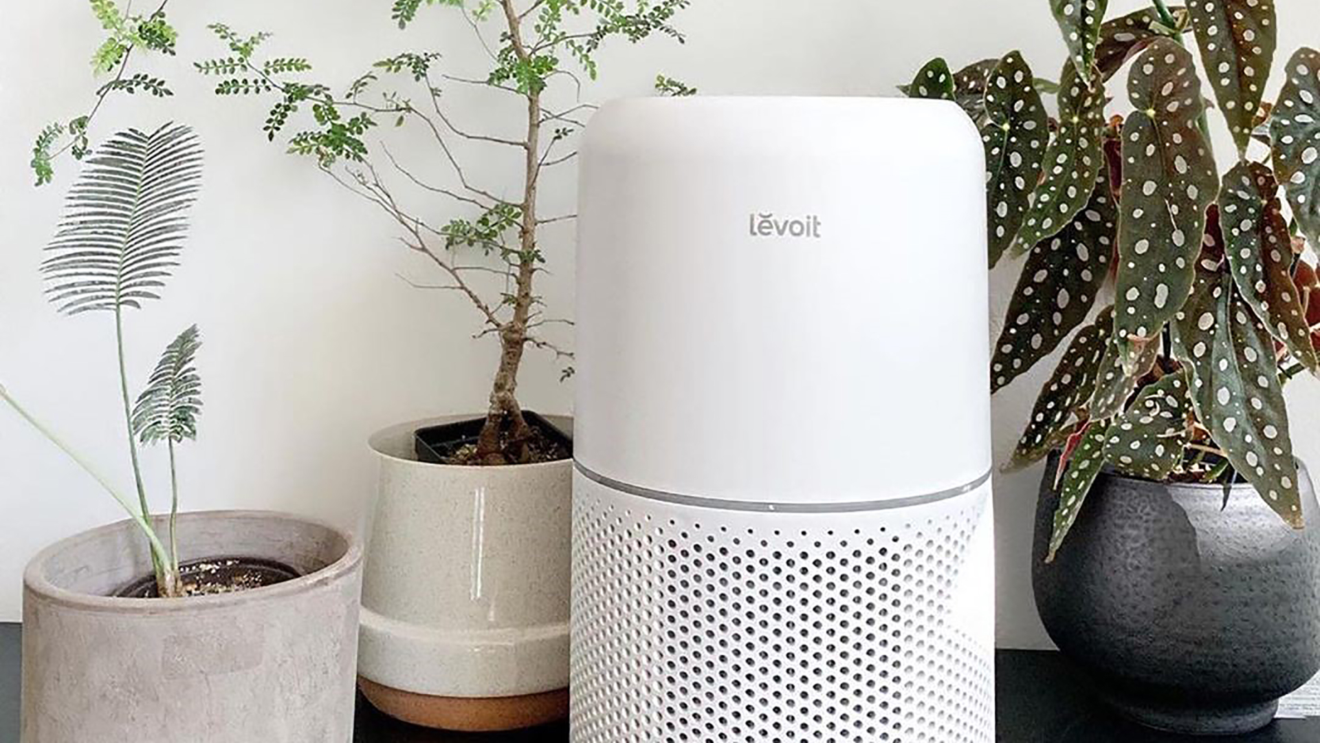 Levoit Core 300 review: A Levoit air purifier for small spaces