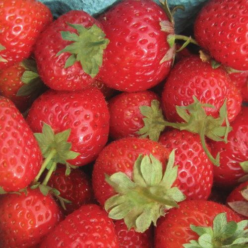 Strawberry Sweet Charlie