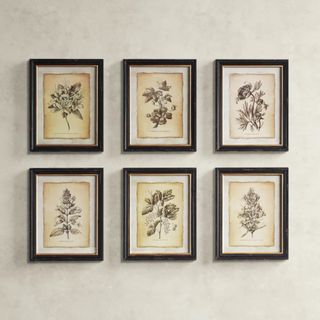 wayfair botanical wall art