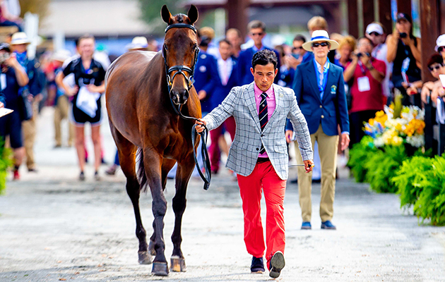 WEG eventing trot-up fashion